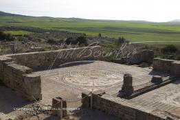 Image du Maroc Professionnelle de  Une mosaïque représentant une scène de la mythologie grecque dans les ruines de Volubilis l'un des sites les mieux préservés au Maroc et le plus visité. Il se situe à proximité de Moulay Idriss Zerhoun à une trentaine de km au nord-ouest de Meknès, photo prise le jeudi 8 Mars 2012. Volubilis ville antique berbère Walili (Lauriers rose) qui date du 3e siècle avant J.-C. capitale du royaume de Maurétanie fondé comme seconde capital sous le règne de Juba II. (Photo / Abdeljalil Bounhar)
 